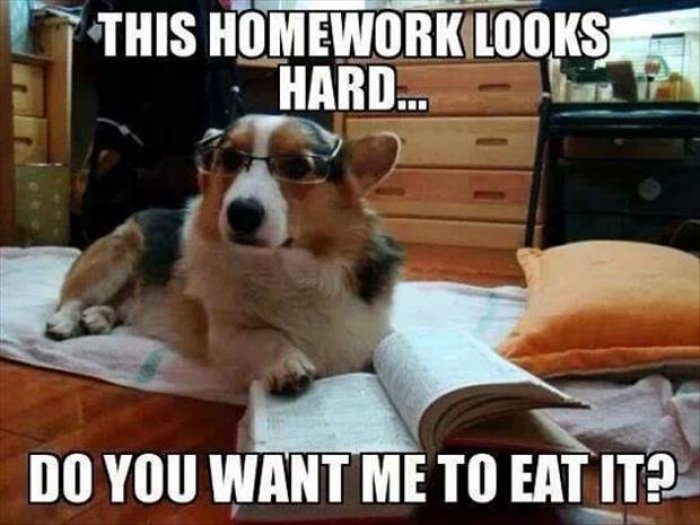 funny-homework-meme-this-homework-looks-hard-do-you-want-me-to-eat-it-image